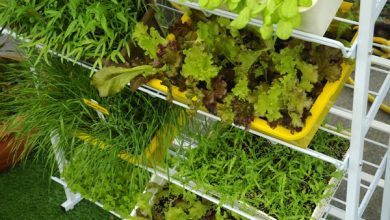 hanging-gardens